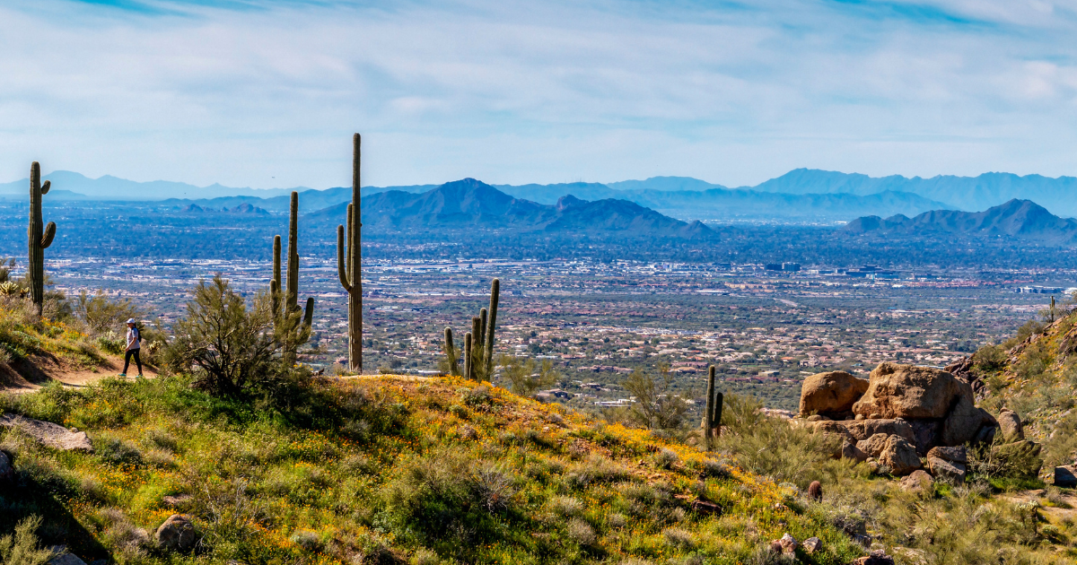 Hiker on Pinnacle Peak Desert Trail In Scottsdale